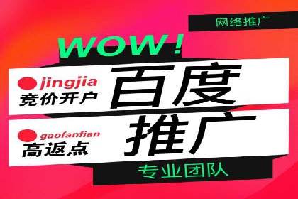 搜索引擎营销（SEM）托管服务在提升ROI方面的案例