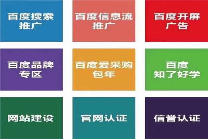 SEM运营中的数据分析和优化案例研究